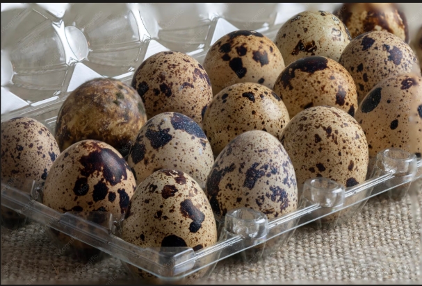 Fresh Coturnix quail eggs in a plastic carton